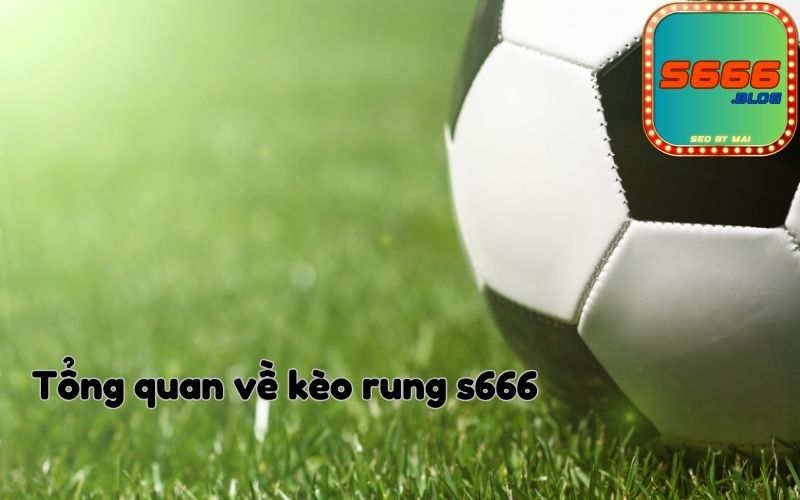 Tổng quan về kèo rung s666